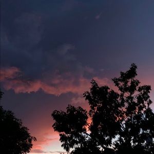 Meet your Posher, Avery